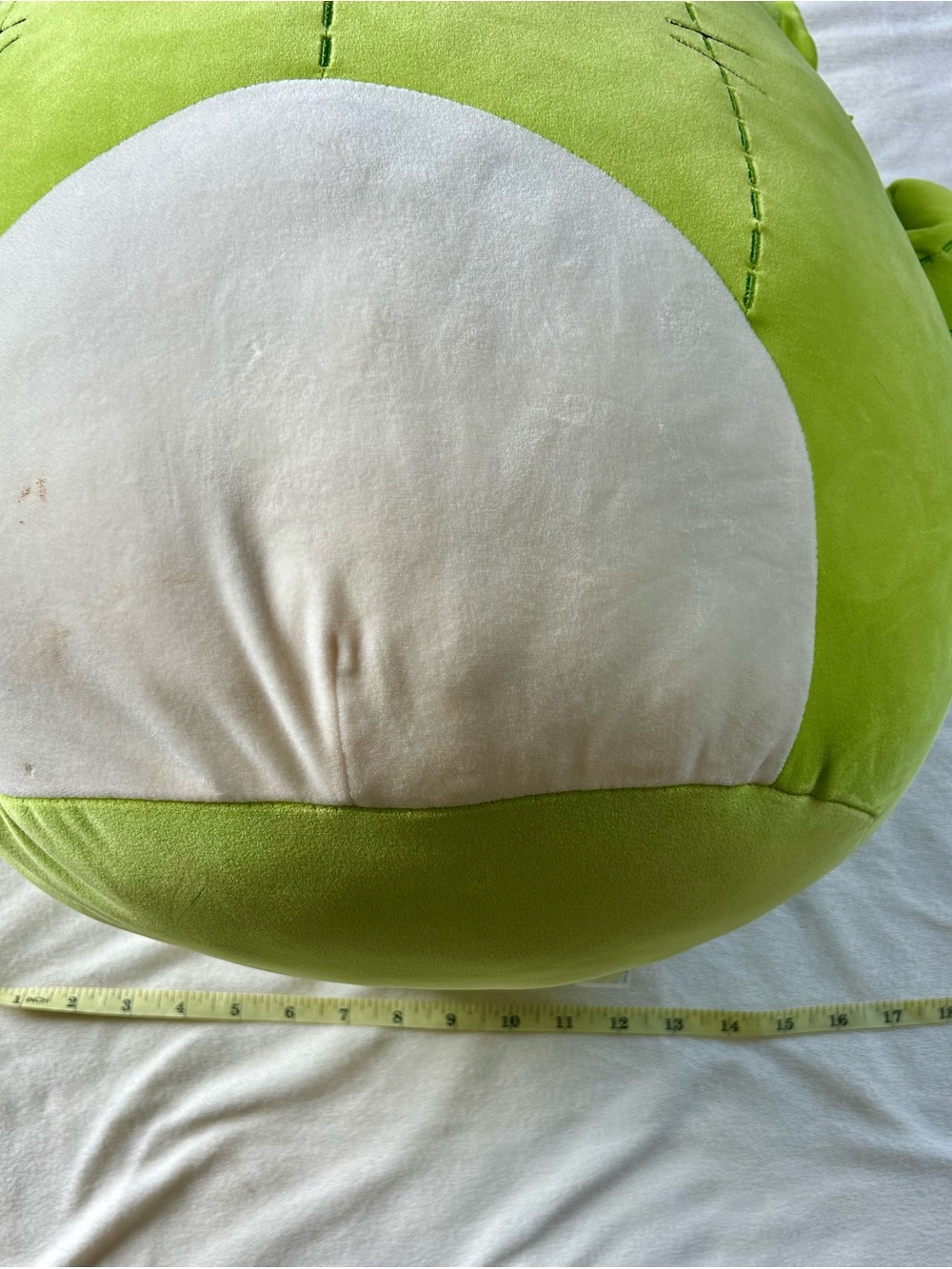 Squishmallows Ms Miss Cactus Cat 20 inch - Picture 5 of 6